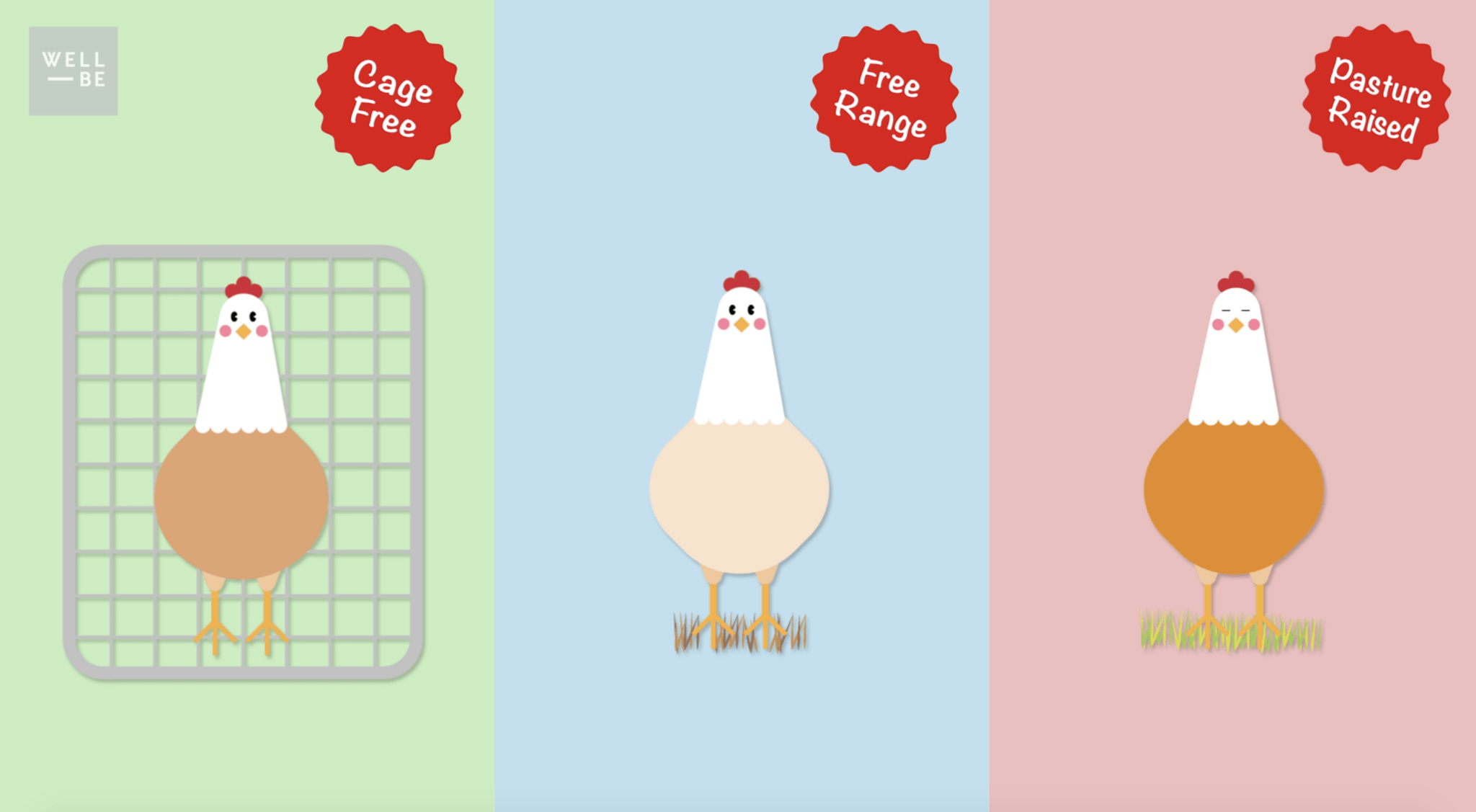 The WellBe Guide to Picking the Healthiest Eggs For Your Body