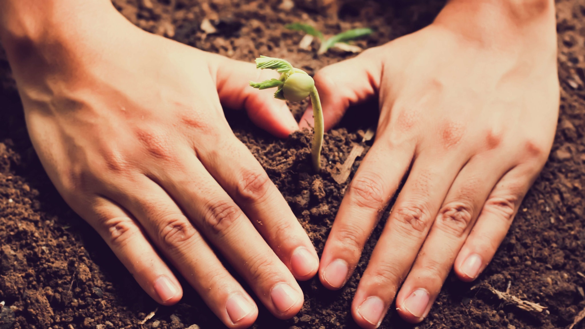 WellBe’s 7 Wellness Activist Goals for 2018