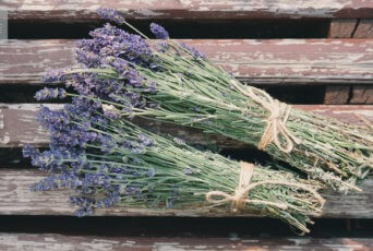 Lavender, one of the most common natural sleeping remedies