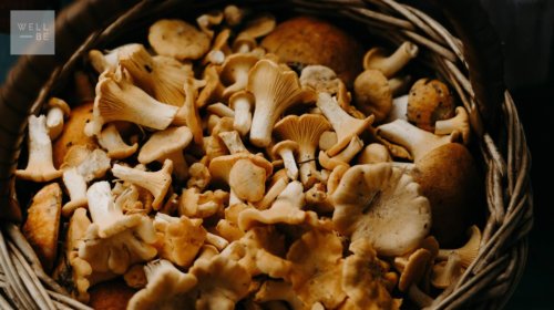 Foods that Help Your Immune System: the Link Between Gut Health and Immune System Function